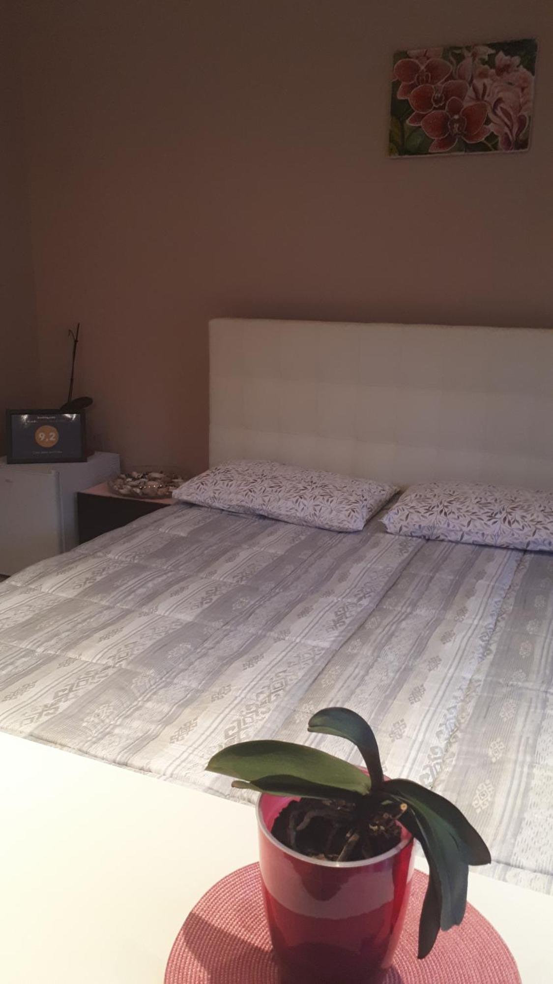 Casa Delle Orchidee Hotel Alba  Quarto foto